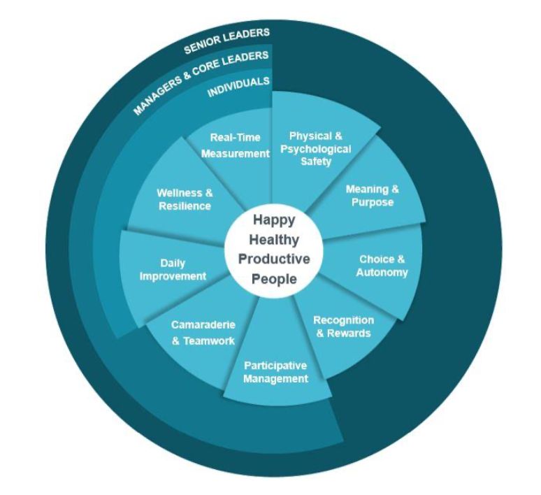 IHI Framework for Improving Joy in Work